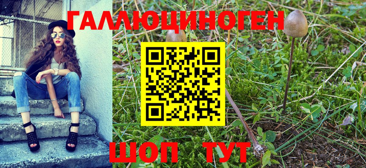 Галлюциногенные грибы Psilocybine cubensis  Галлюциногенные грибы Magic Shrooms  Бердск  Вход с VPN 